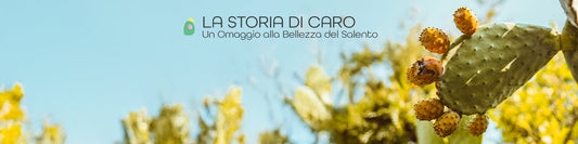 Bellezza Autentica 01 - La Storia di Caro Beauty